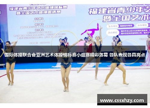 国际体操联合会亚洲艺术体操锦标赛小组赛精彩落幕 各队表现各具亮点