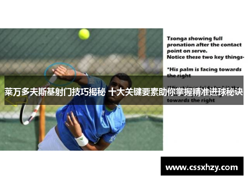 莱万多夫斯基射门技巧揭秘 十大关键要素助你掌握精准进球秘诀 莱万多夫斯基射门技巧揭秘 十大关键要素助你掌握精准进球秘诀