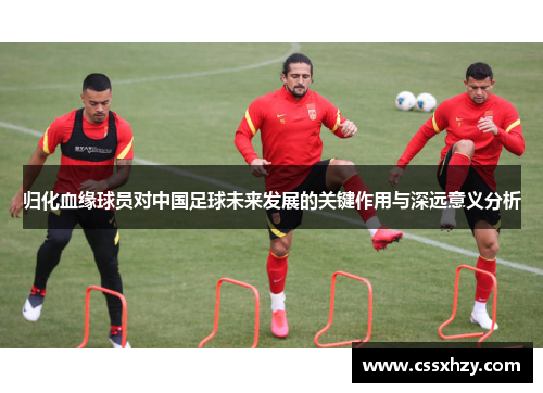 归化血缘球员对中国足球未来发展的关键作用与深远意义分析